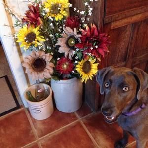 Meet your Posher, Judy